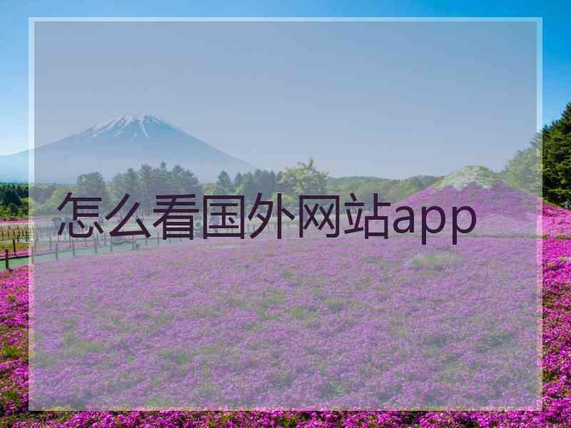 怎么看国外网站app