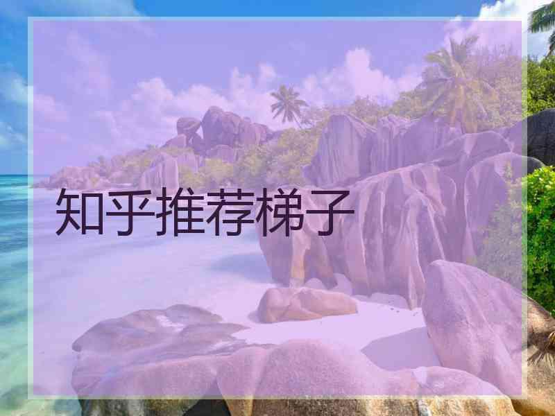 知乎推荐梯子
