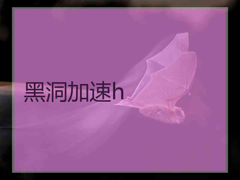 黑洞加速h