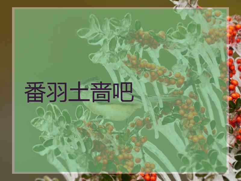 番羽土啬吧