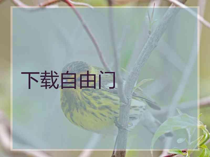 下载自由门
