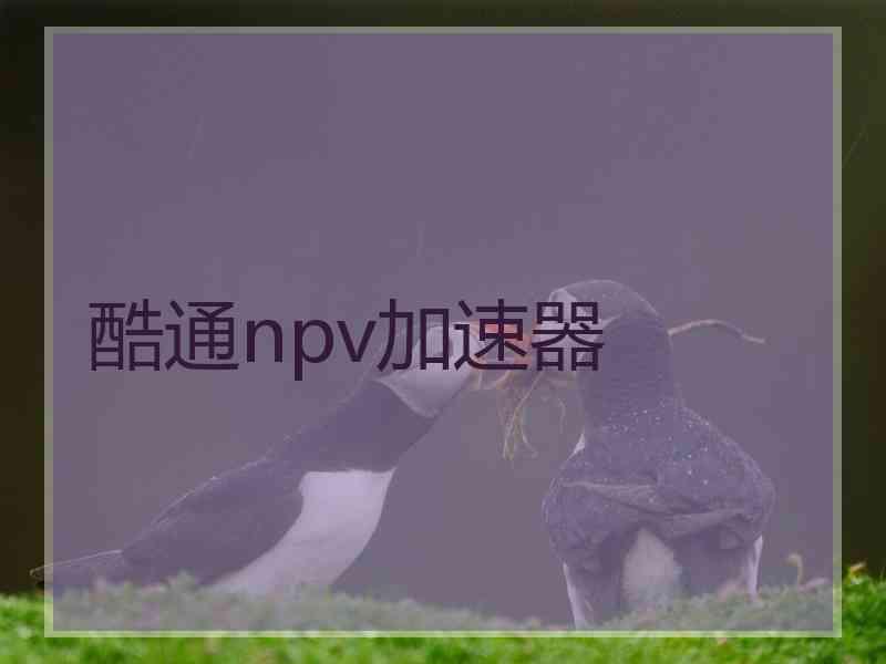 酷通npv加速器