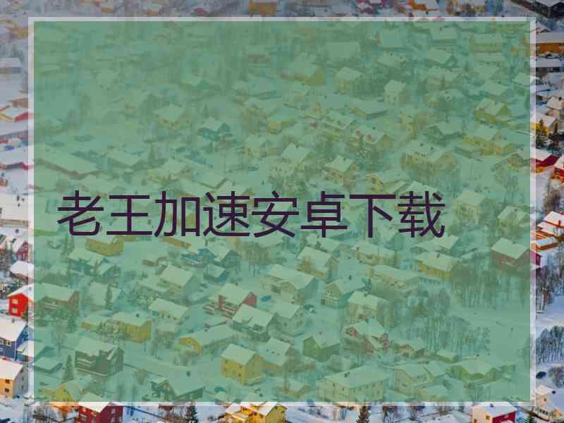 老王加速安卓下载