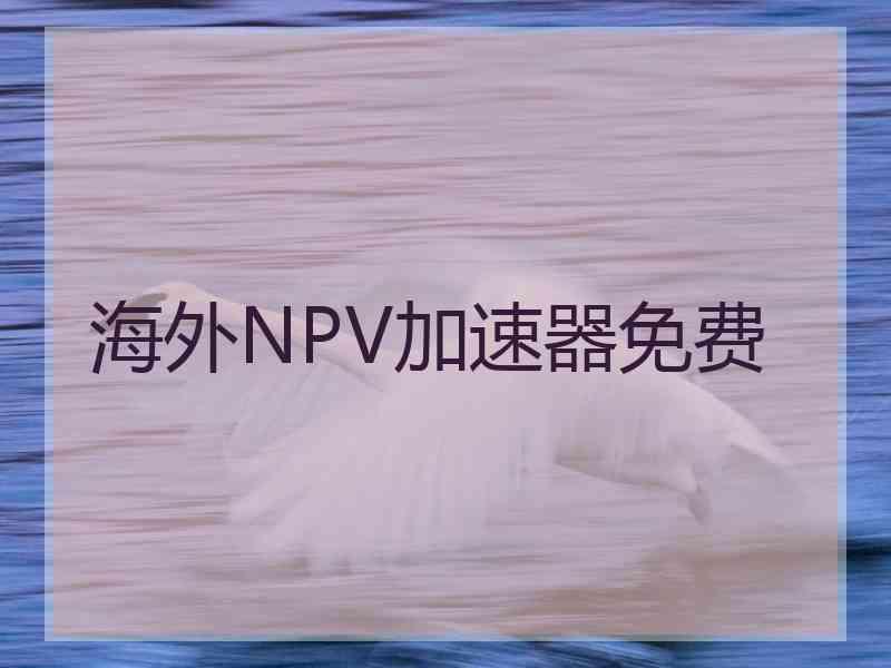 海外NPV加速器免费