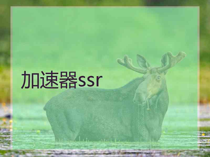 加速器ssr
