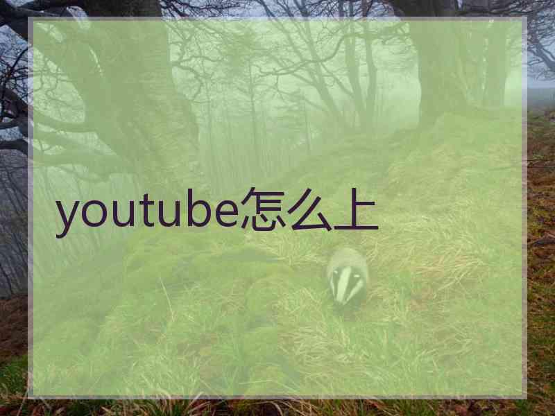 youtube怎么上