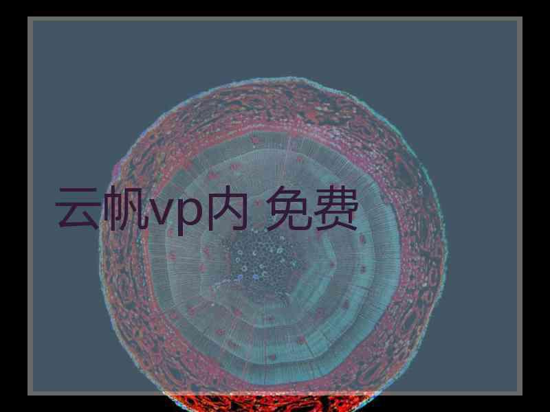 云帆vp内 免费
