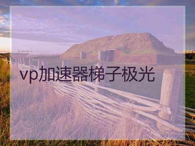 vp加速器梯子极光