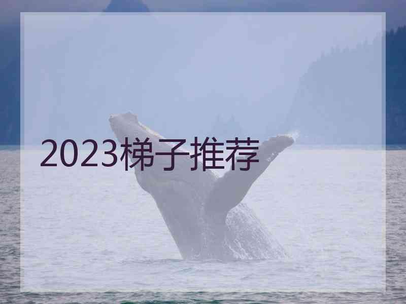 2023梯子推荐