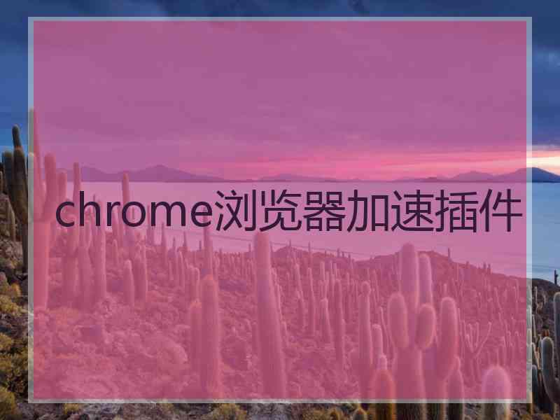 chrome浏览器加速插件