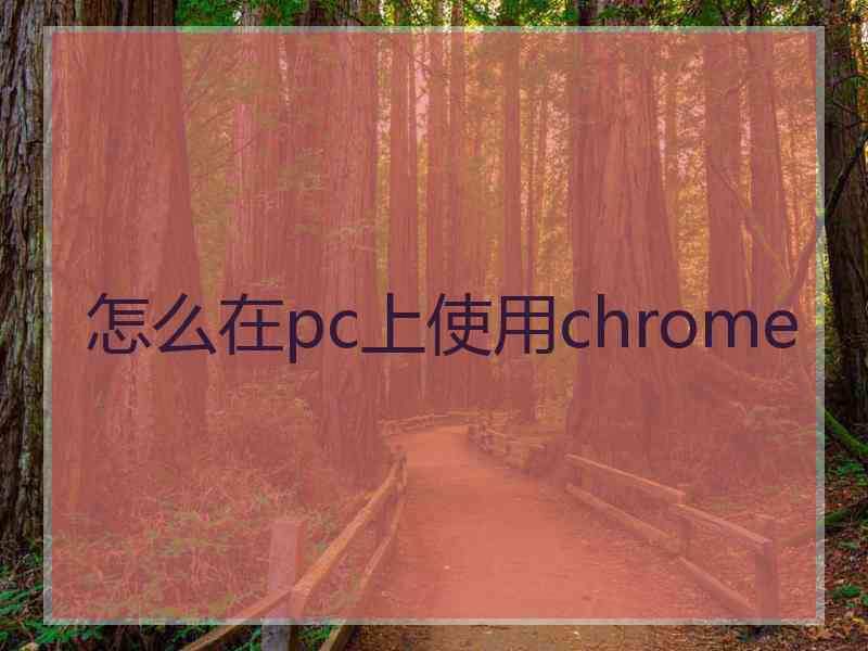 怎么在pc上使用chrome