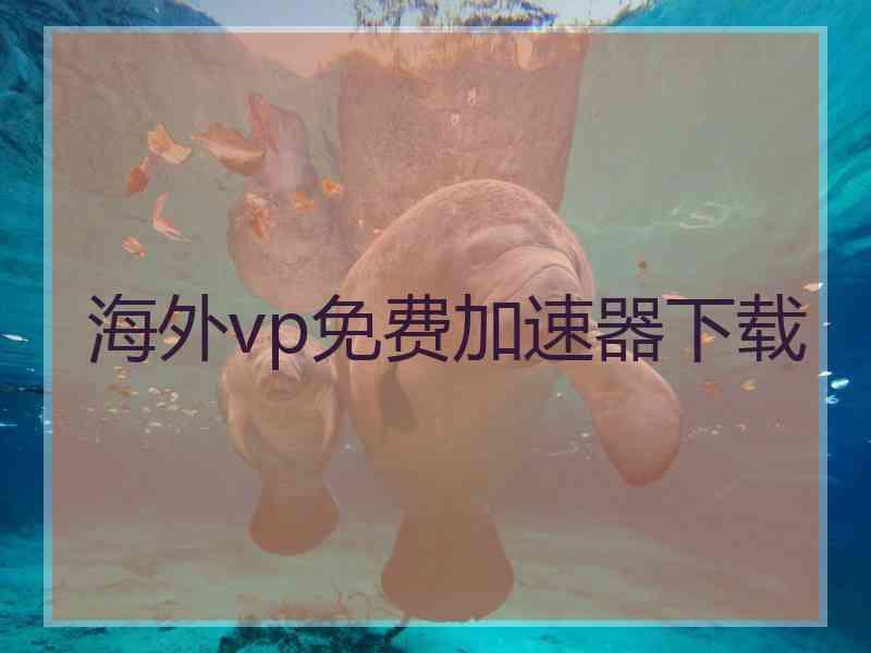 海外vp免费加速器下载