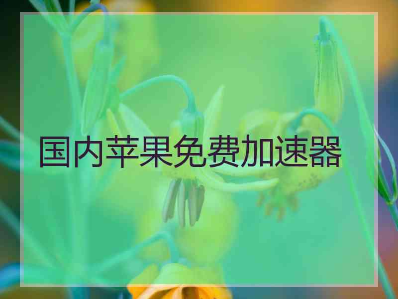 国内苹果免费加速器