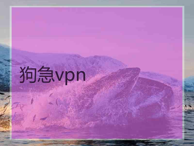 狗急vpn