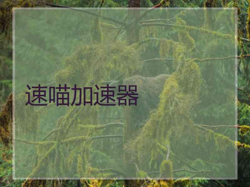 速喵加速器