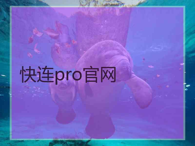 快连pro官网