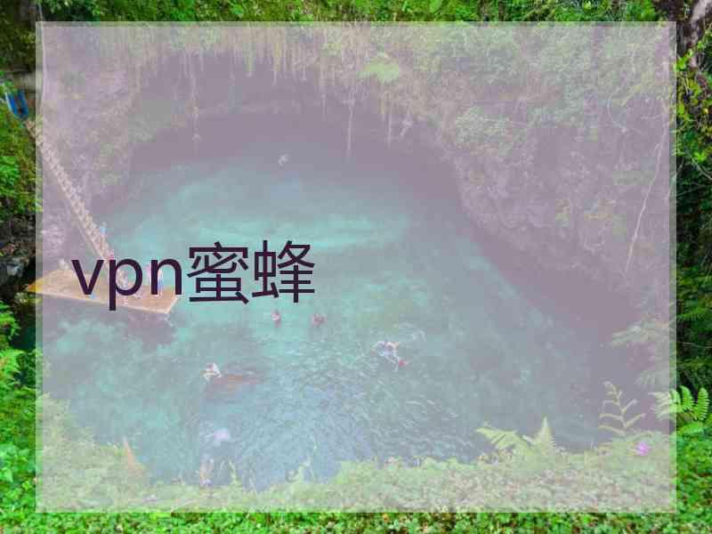 vpn蜜蜂