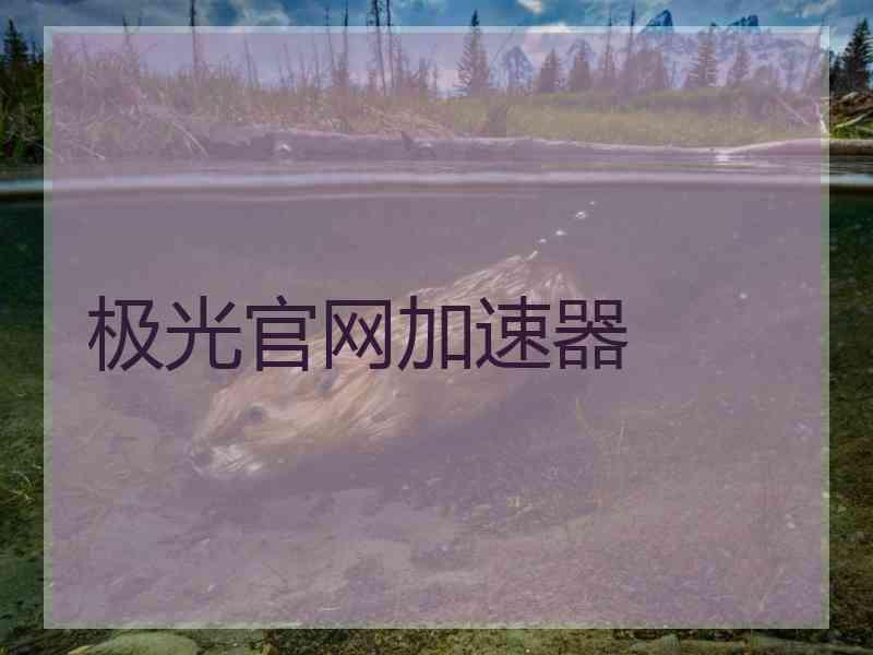 极光官网加速器
