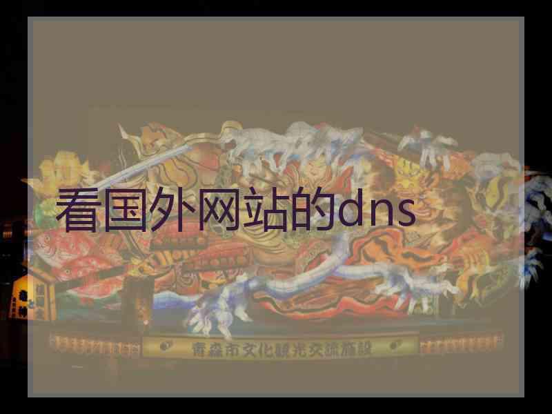 看国外网站的dns