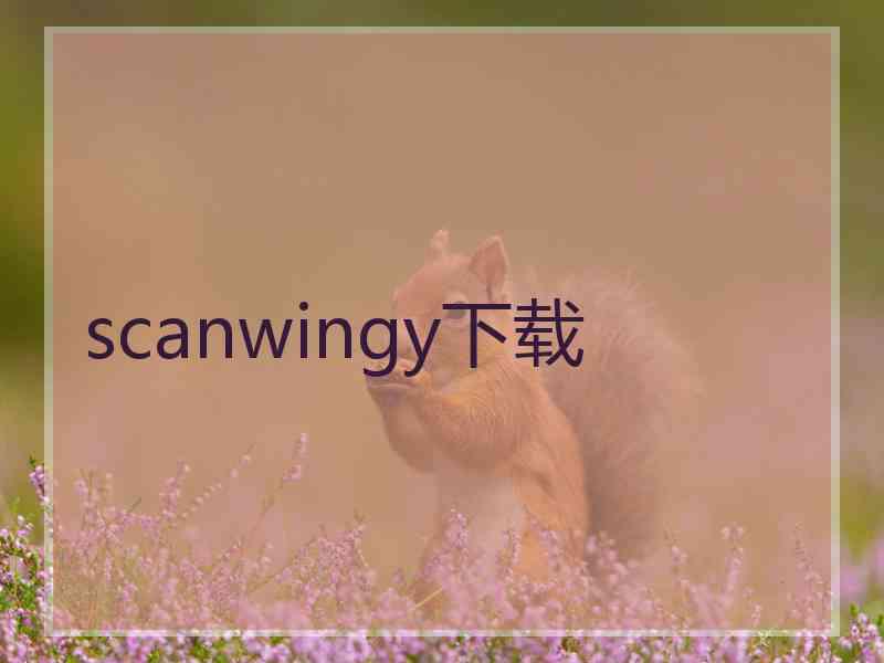scanwingy下载
