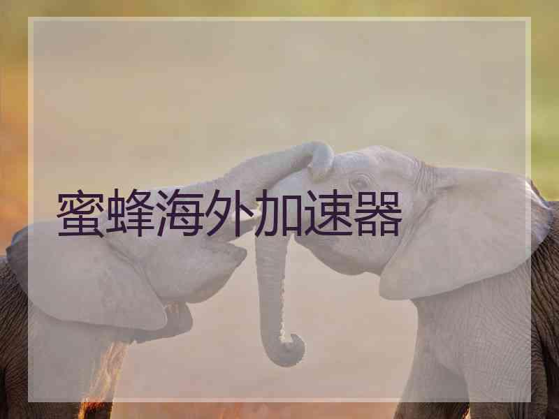 蜜蜂海外加速器