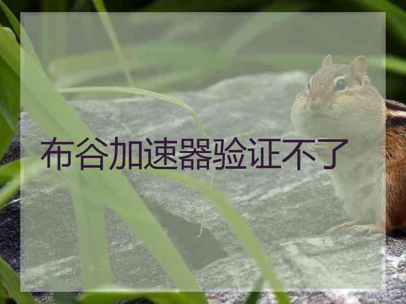 布谷加速器验证不了