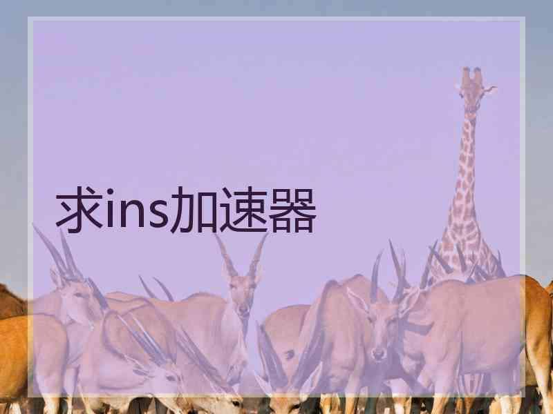 求ins加速器
