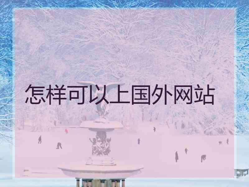 怎样可以上国外网站