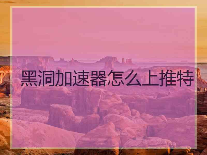 黑洞加速器怎么上推特