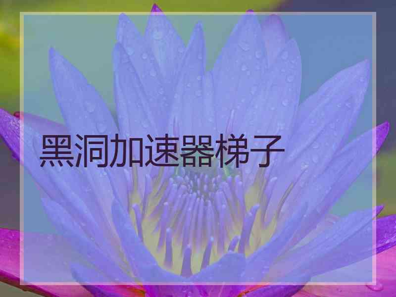 黑洞加速器梯子