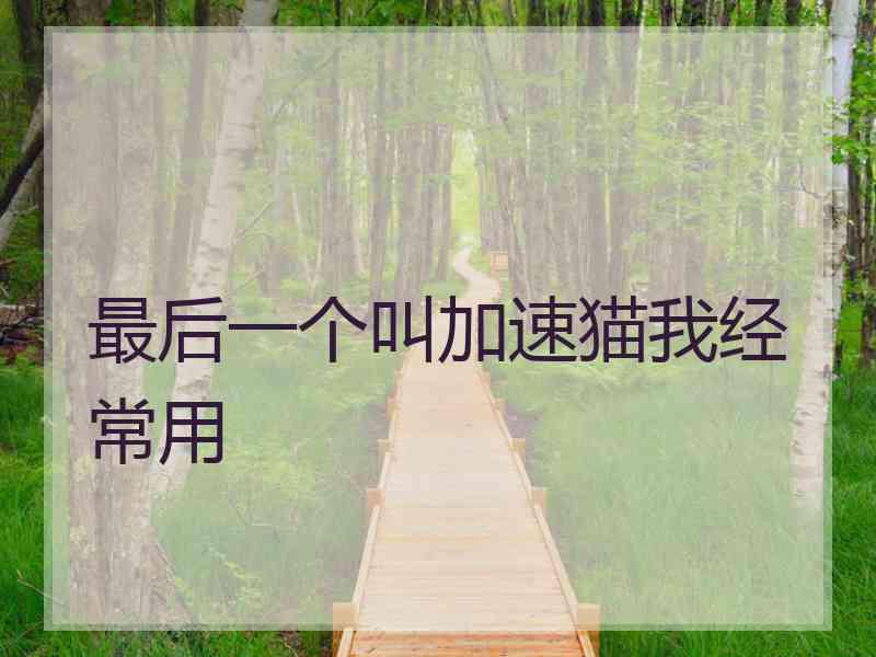 最后一个叫加速猫我经常用