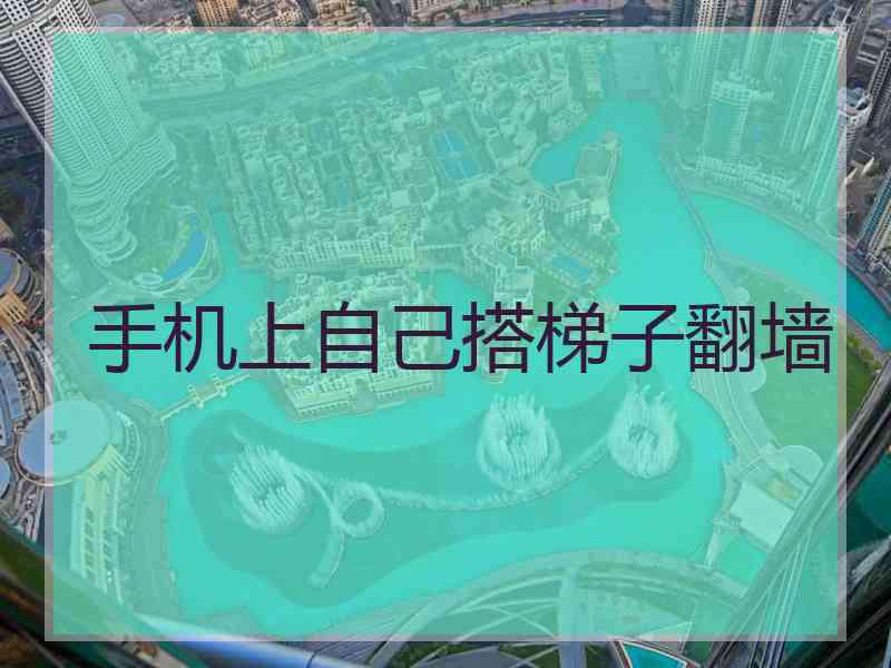 手机上自己搭梯子翻墙