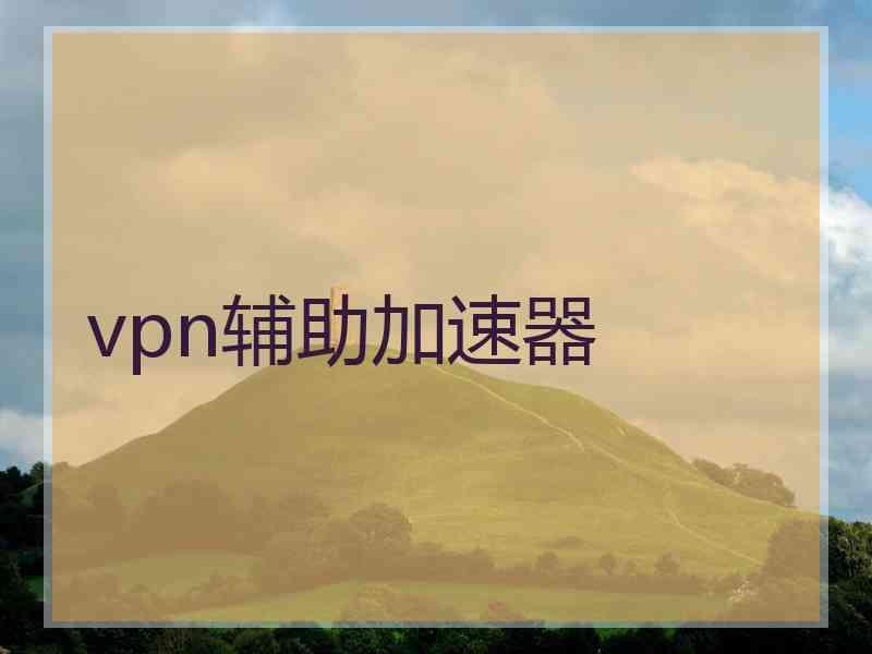 vpn辅助加速器
