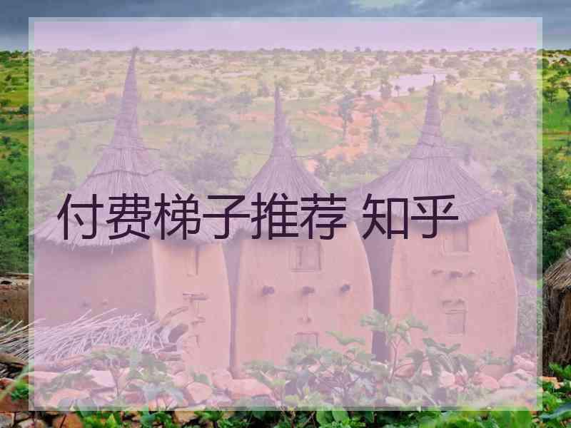付费梯子推荐 知乎