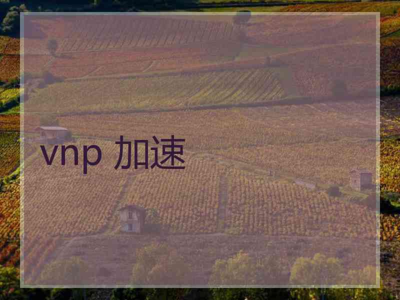 vnp 加速