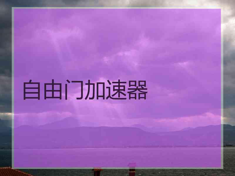自由门加速器