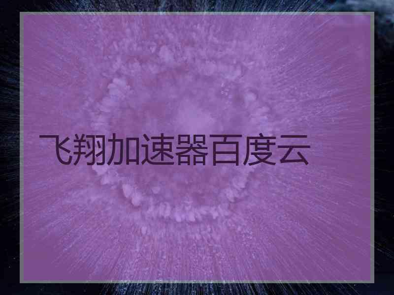飞翔加速器百度云