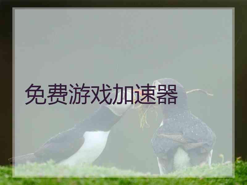 免费游戏加速器