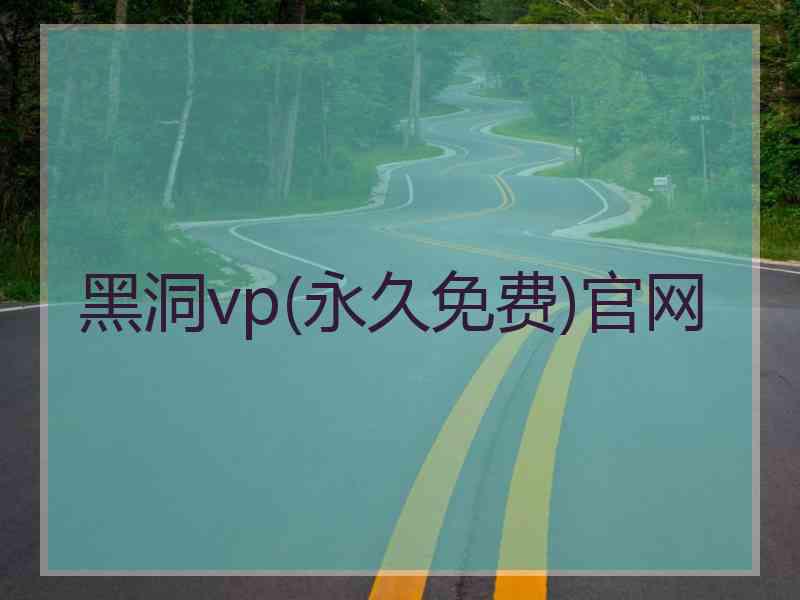 黑洞vp(永久免费)官网