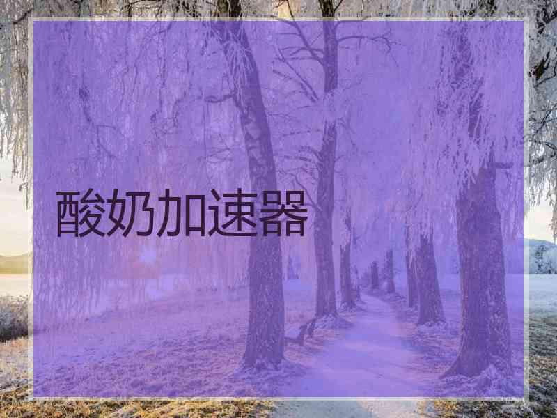 酸奶加速器