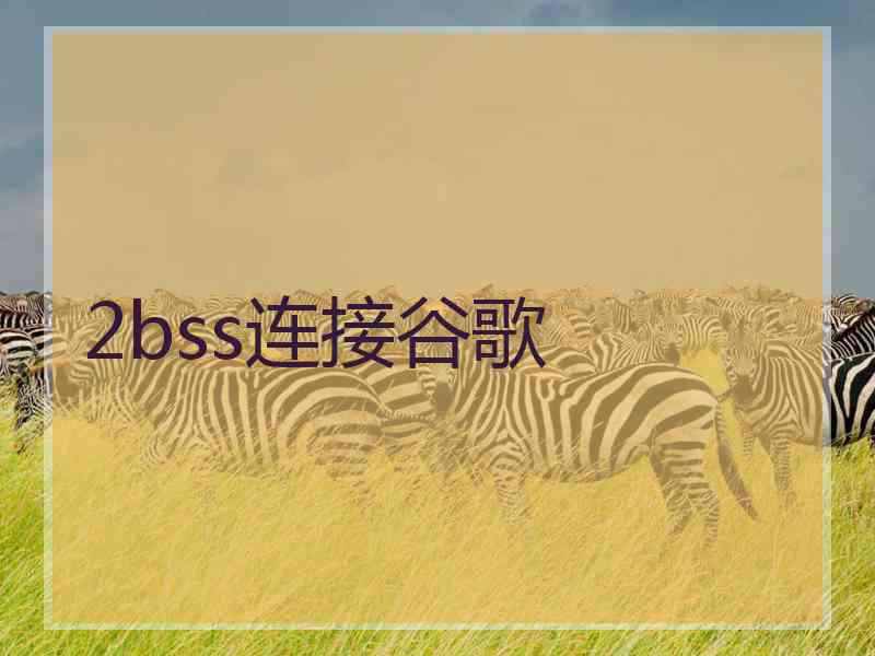 2bss连接谷歌