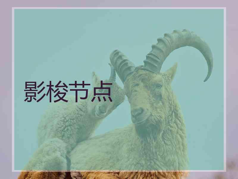 影梭节点