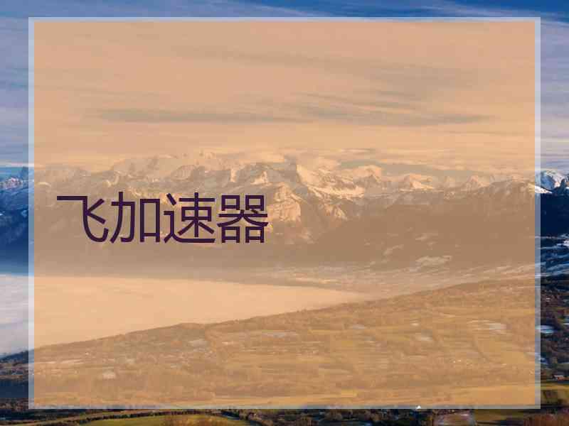 飞加速器