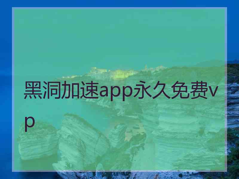 黑洞加速app永久免费vp