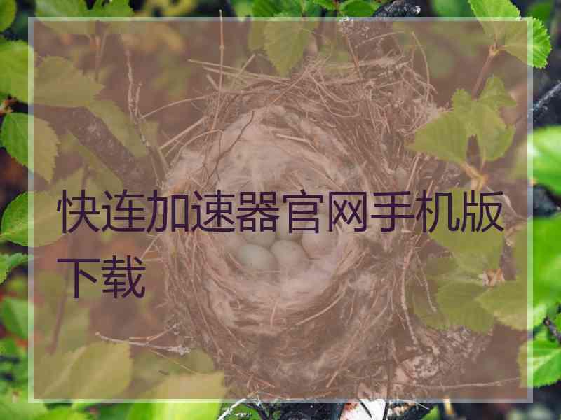 快连加速器官网手机版下载