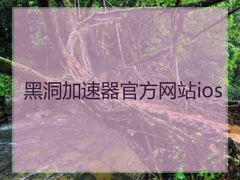 黑洞加速器官方网站ios