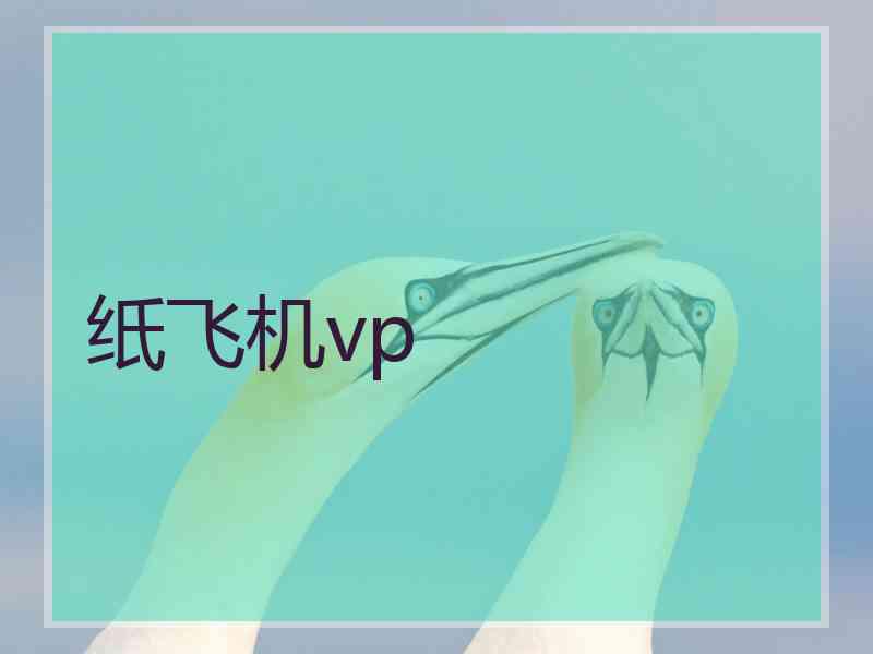 纸飞机vp