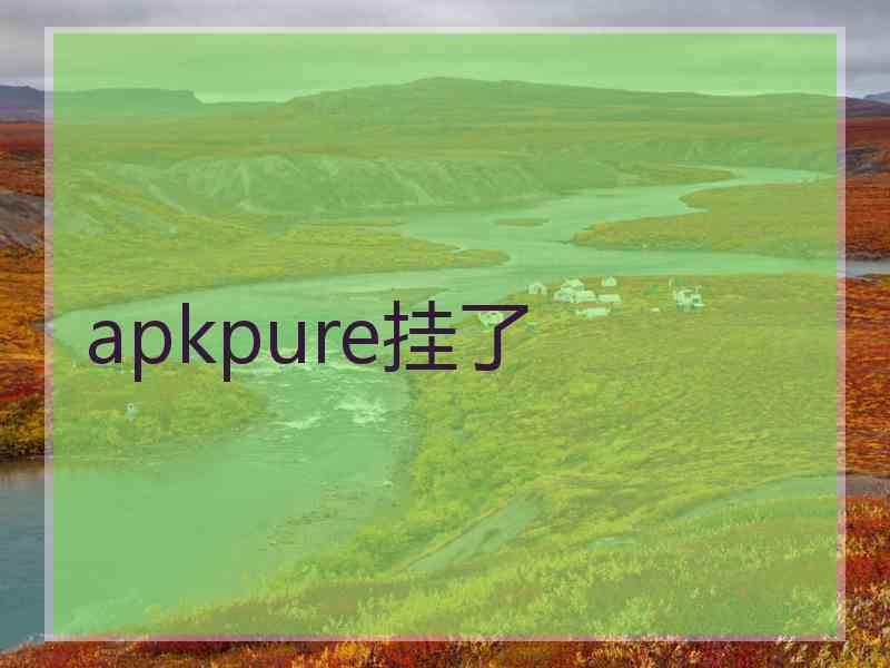 apkpure挂了