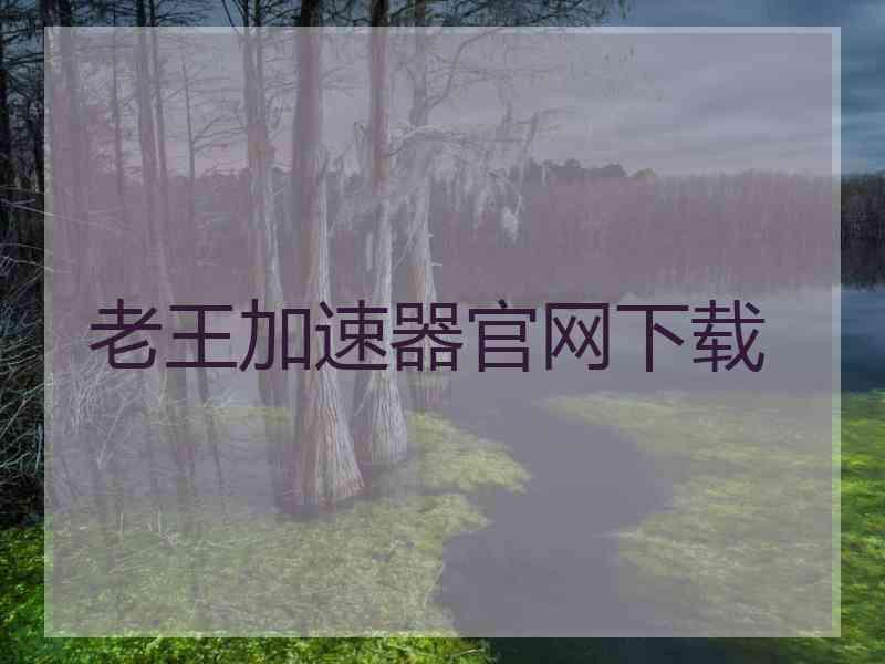 老王加速器官网下载