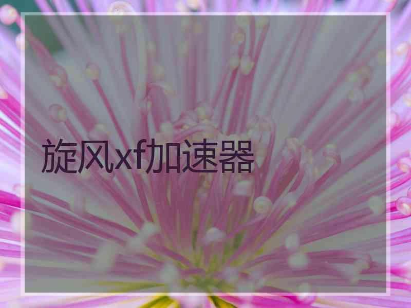 旋风xf加速器